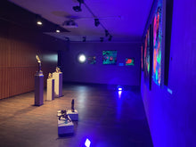 Load image into Gallery viewer, HANGING GARDEN - „TRIO“