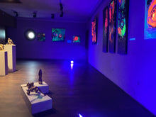 Load image into Gallery viewer, HANGING GARDEN_ „MOLDAVIA ROSÉ OBSESSION”